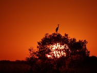 AH, ... the end of a most fulfilling day. 